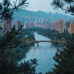 李老板企业介绍