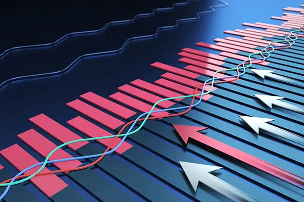 礼仪式企业介绍