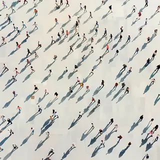 飞驰骆驼公司介绍